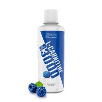 SAN L-CARNITINA 3000 RASPBERRY 16OZ – Vitasalud
